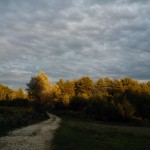 photo5