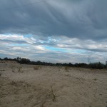 photo7
